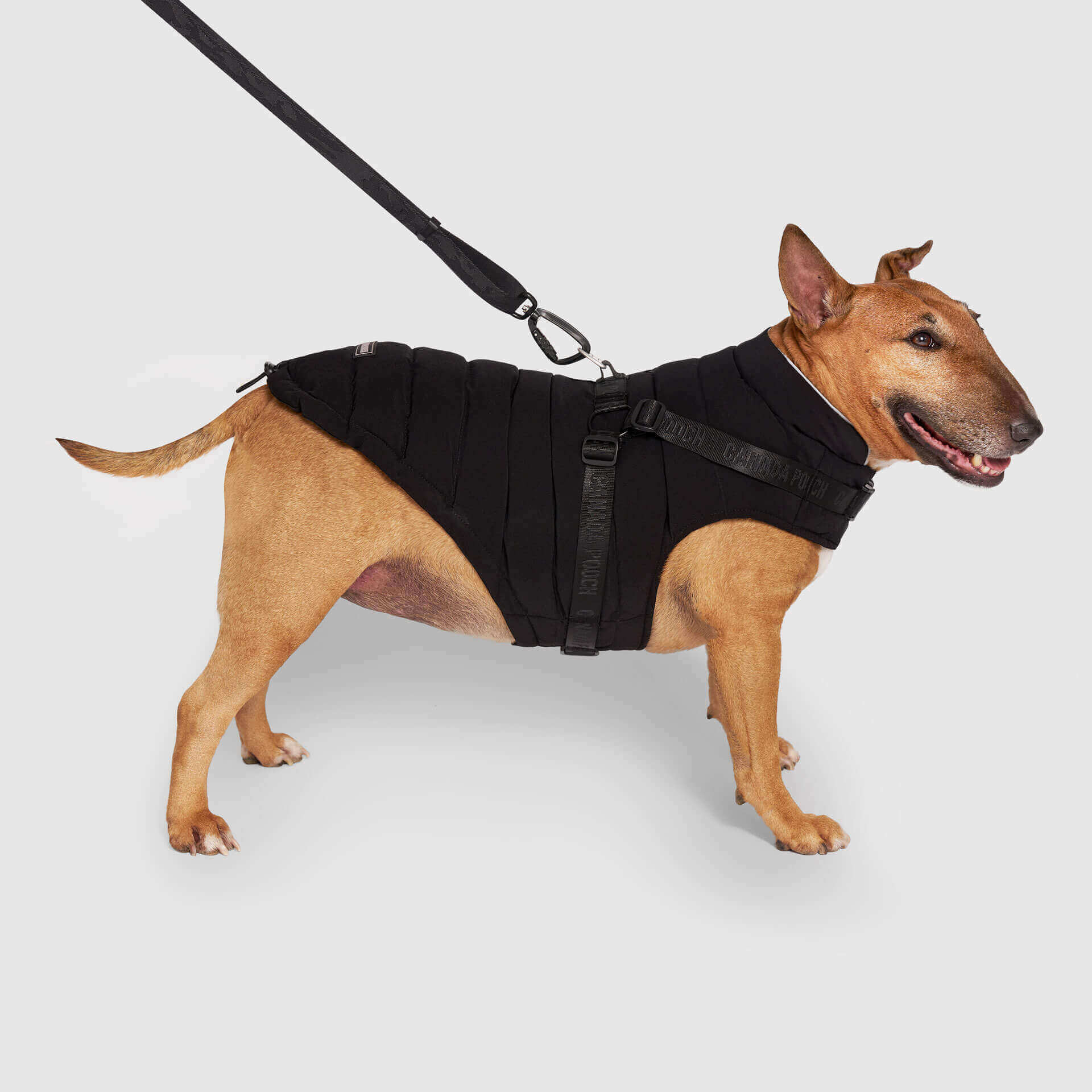 Best-Selling Dog Parkas & Jackets
